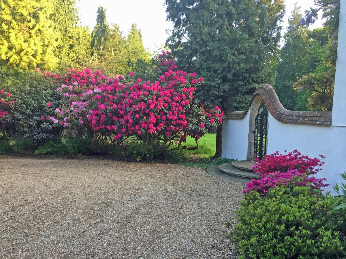 Bed and Breakfast Bressenden Biddenden Zewnętrze zdjęcie